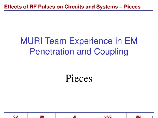 MURI Team Experience in EM Penetration and Coupling