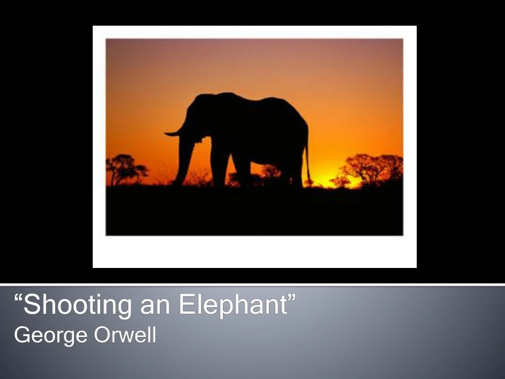 shooting an elephant george orwell