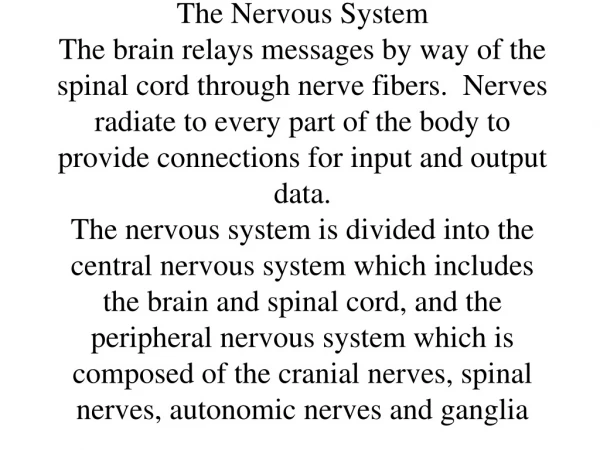 Video NEURONS AND NEUROTRANSMITTERS