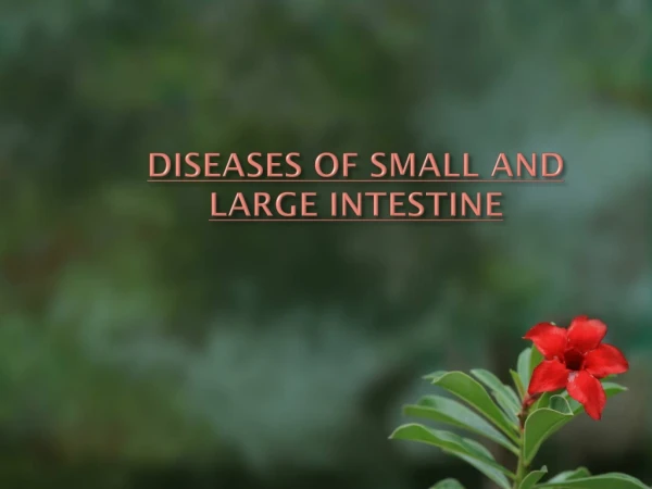 DISEASES OF SMALL AND  LARGE INTESTINE