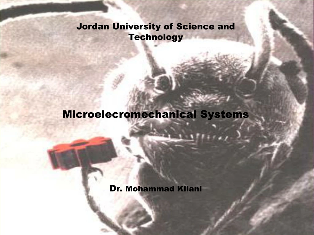 jordan university of science and technology
