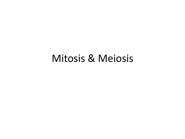 Mitosis &amp; Meiosis