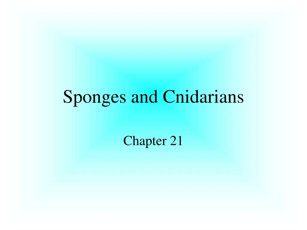 sponges and cnidarians