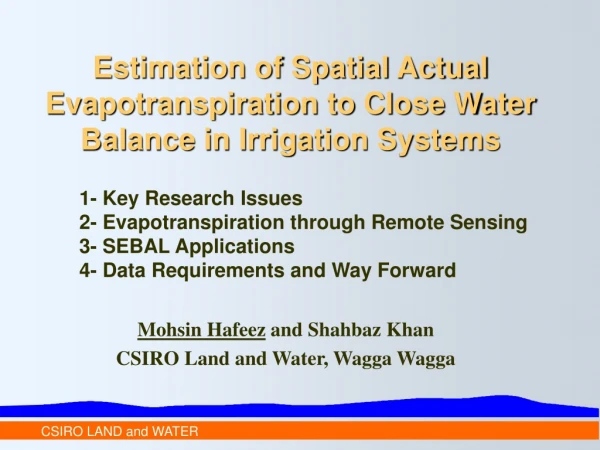 Estimation of Spatial Actual Evapotranspiration to Close Water Balance in Irrigation Systems