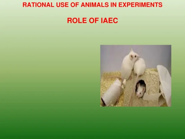 RATIONAL USE OF ANIMALS IN EXPERIMENTS ROLE OF IAEC