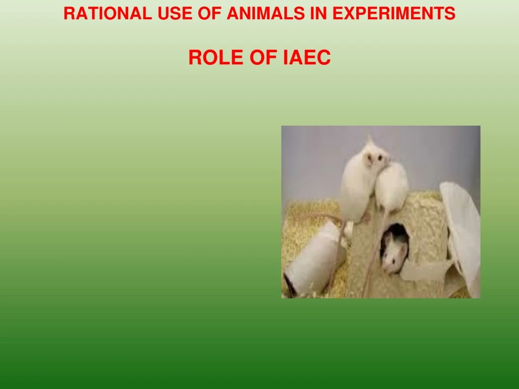 rational use of animals in experiments role