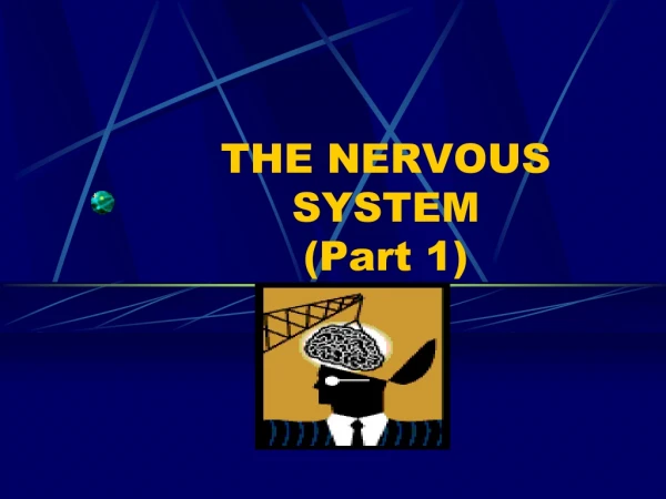 THE NERVOUS SYSTEM (Part 1)