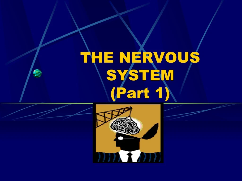 the nervous system part 1