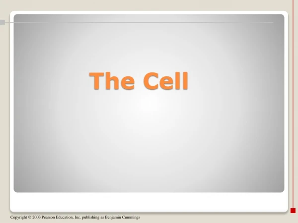 The Cell