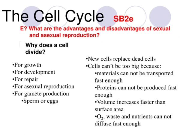 Why does a cell divide?