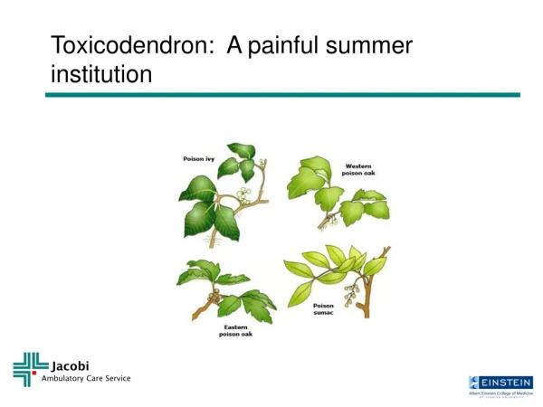 Toxicodendron:  A painful summer institution