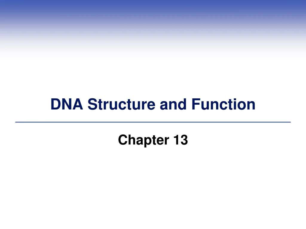 dna structure and function