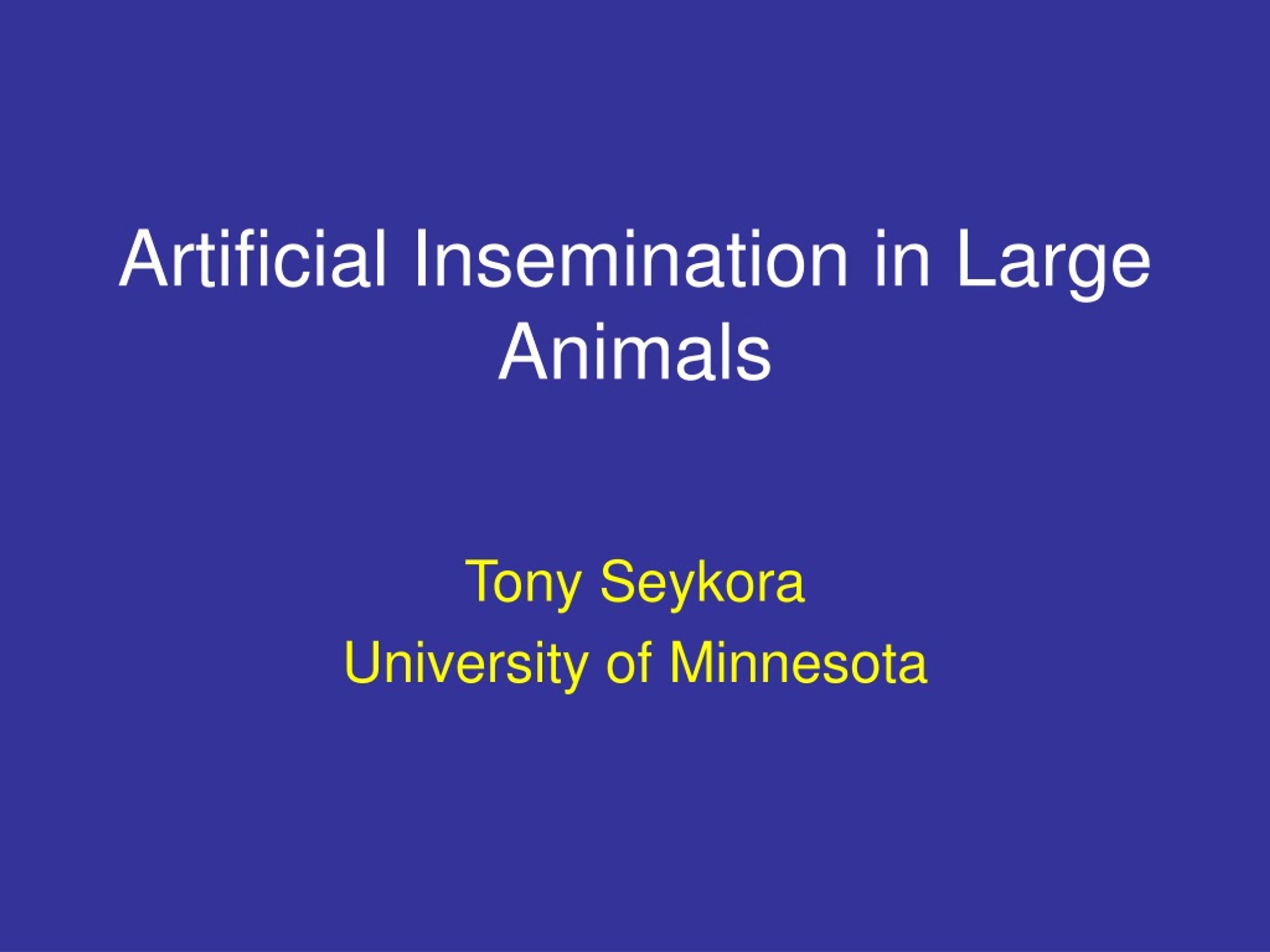 PPT - Artificial Insemination in Large Animals PowerPoint Presentation ...