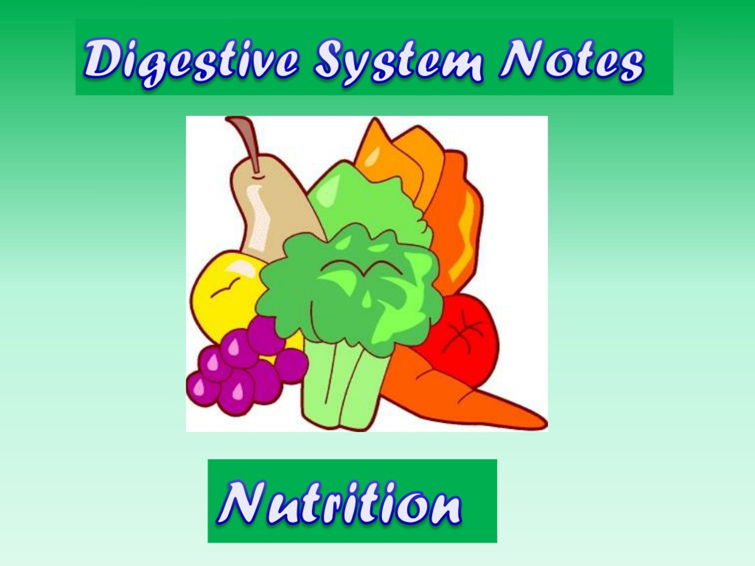 PPT - Digestive System Notes PowerPoint Presentation, free download ...