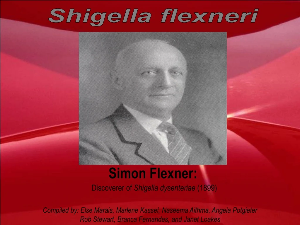 shigella flexneri