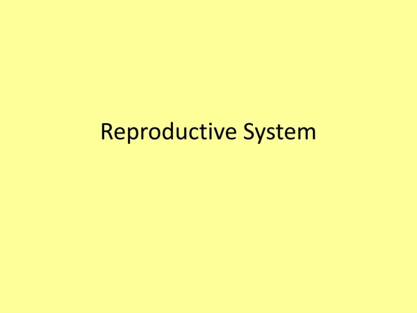 Reproductive System