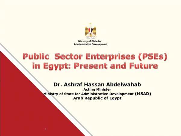 Public  Sector Enterprises (PSEs) in Egypt: Present and Future