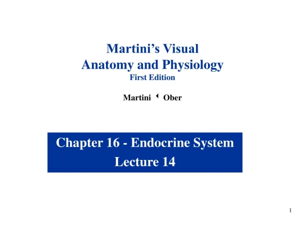 Chapter 16 - Endocrine System Lecture 14