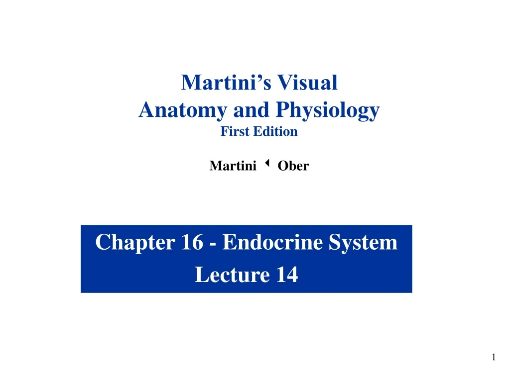 martini s visual anatomy and physiology first