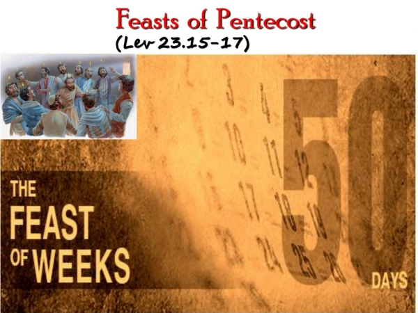 Feasts  of  Pentecost  (Lev 23.15-17)