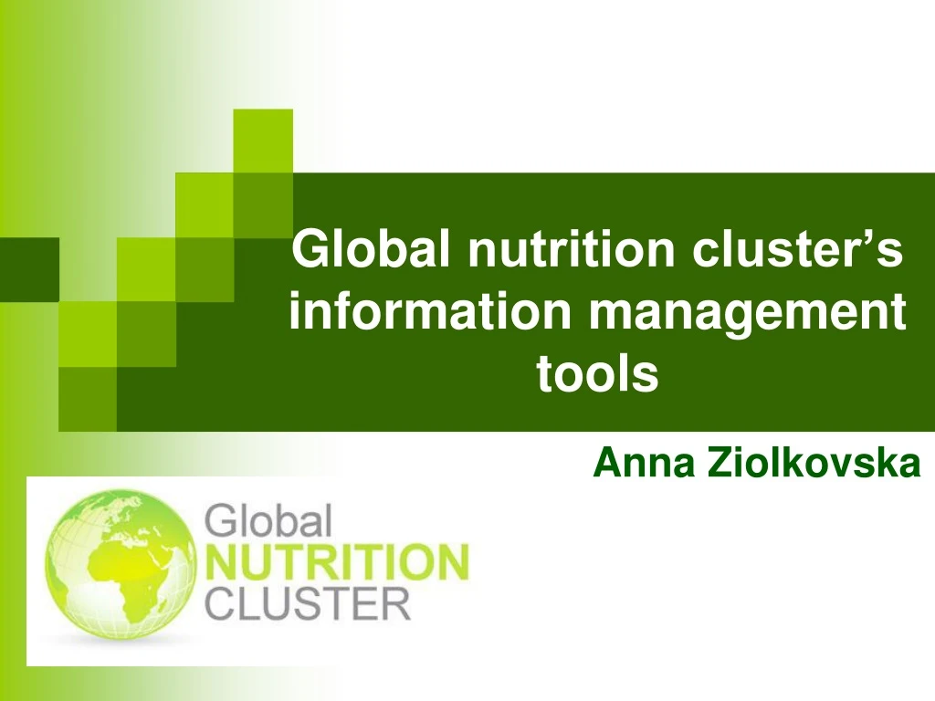 global nutrition cluster s information management tools