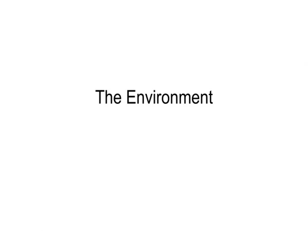 The Environment