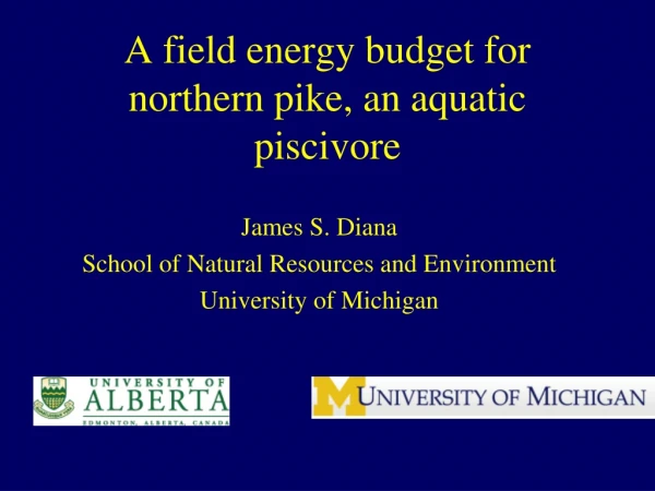 A field energy budget for northern pike, an aquatic piscivore