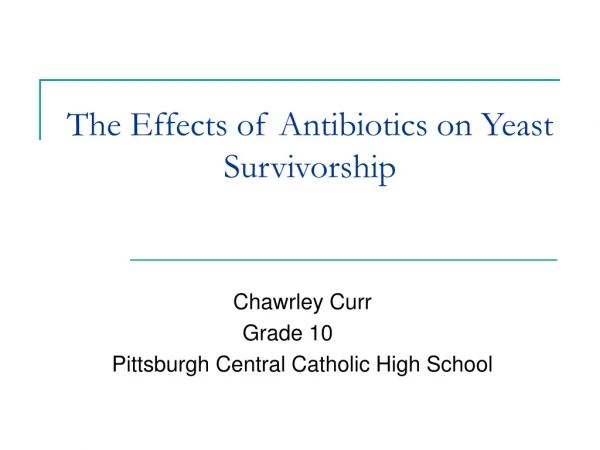 The Effects of Antibiotics on Yeast Survivorship