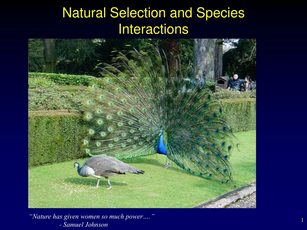 natural selection and species interactions