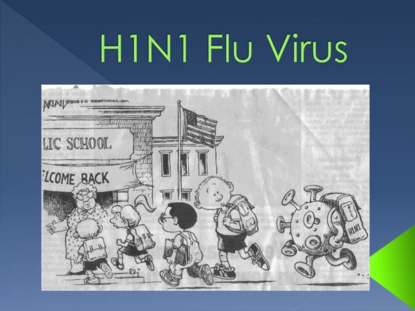 H1N1 Flu Virus