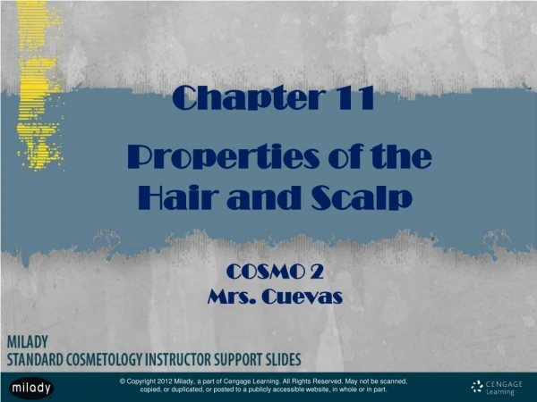 Chapter 11  Properties of the  Hair and Scalp COSMO 2 Mrs. Cuevas