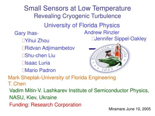 Small Sensors at Low Temperature Revealing Cryogenic Turbulence