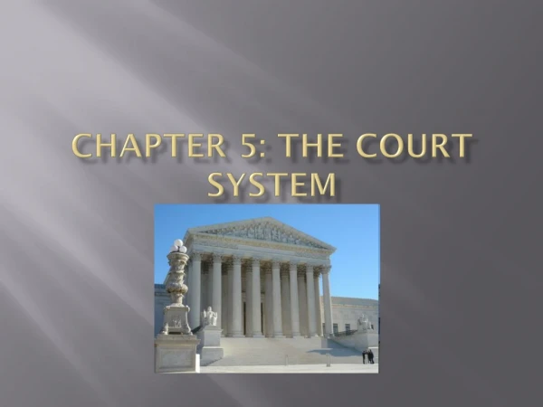 Chapter 5: The Court System