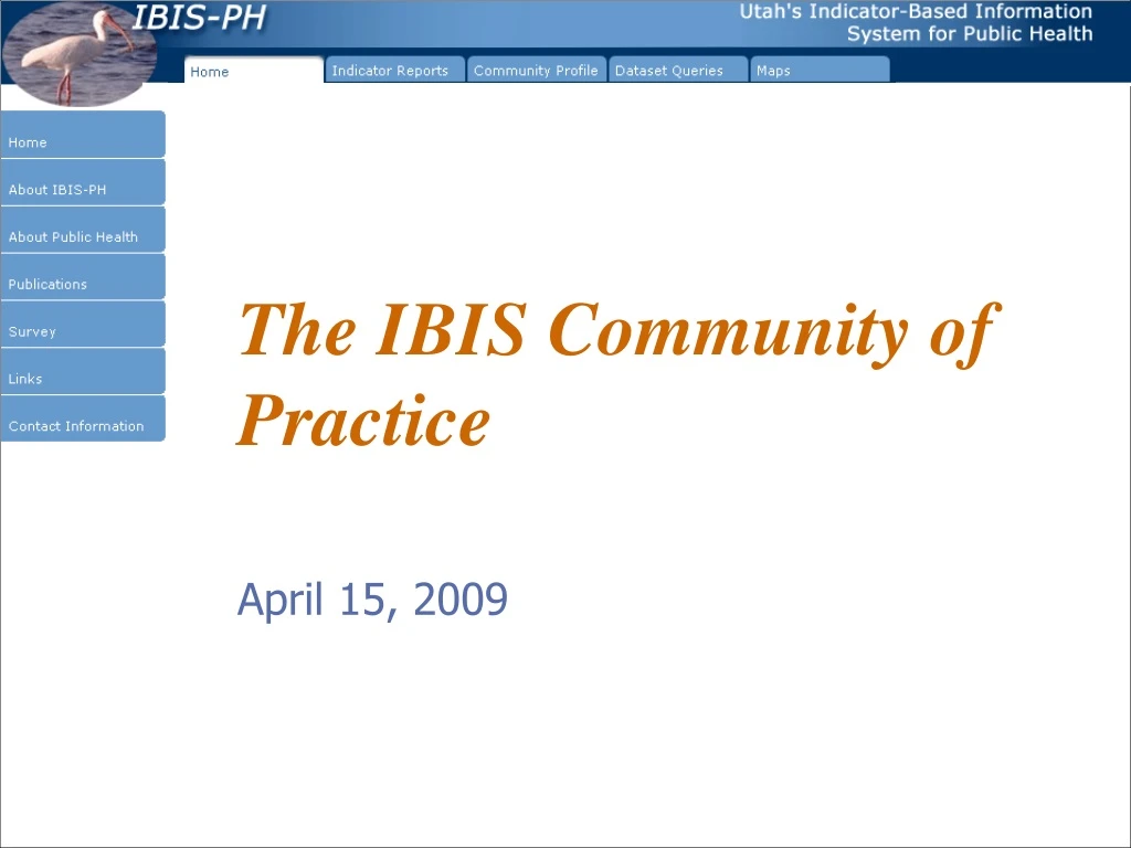 the ibis community of practice