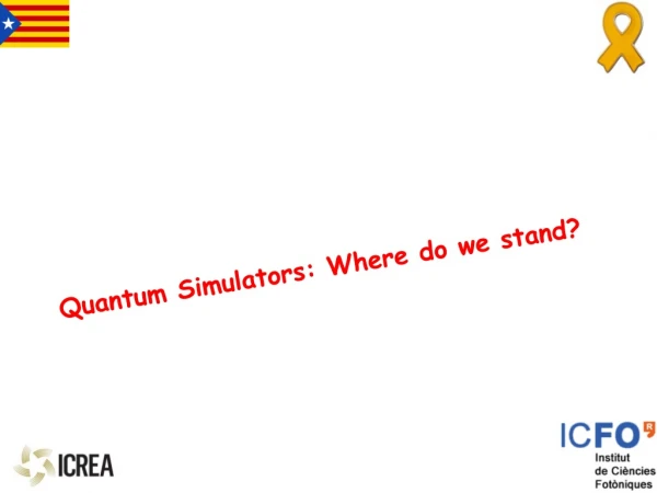 Quantum Simulators: Where do we stand?