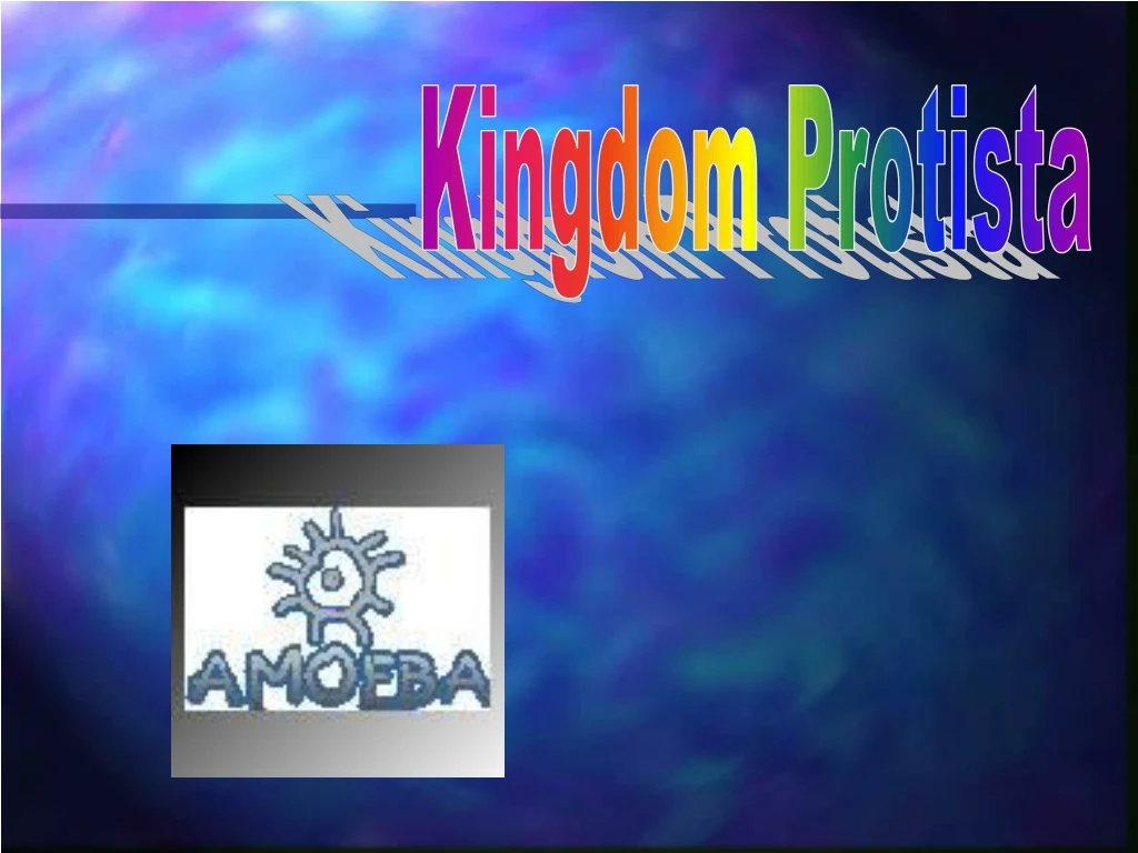 kingdom protista