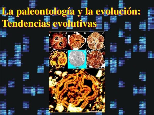 La paleontología y la evolución: Tendencias evolutivas