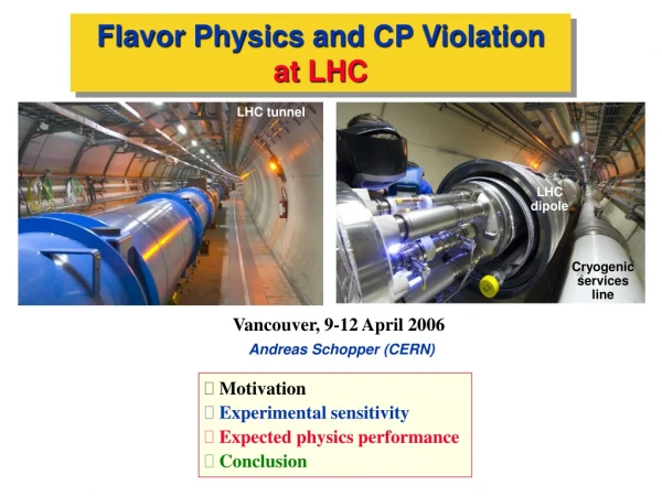 Flavor Physics and CP Violation  at LHC
