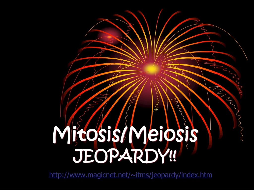 mitosis meiosis jeopardy