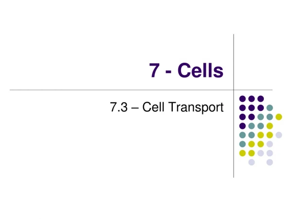 7 - Cells