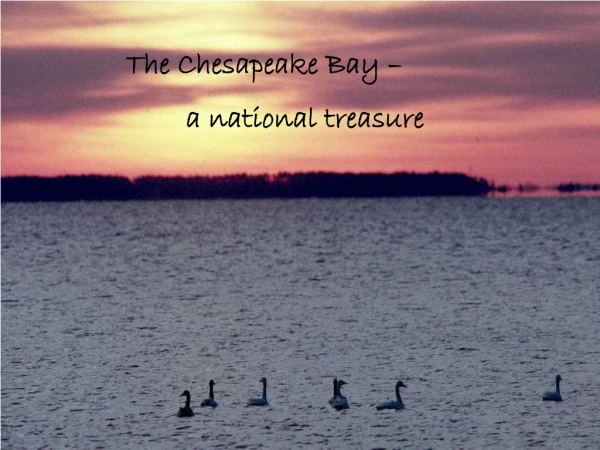 The Chesapeake Bay –  	a national treasure