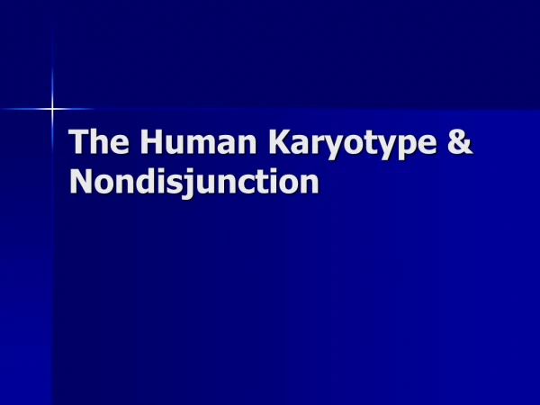 The Human Karyotype &amp; Nondisjunction