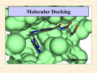 Molecular Docking - slide 1