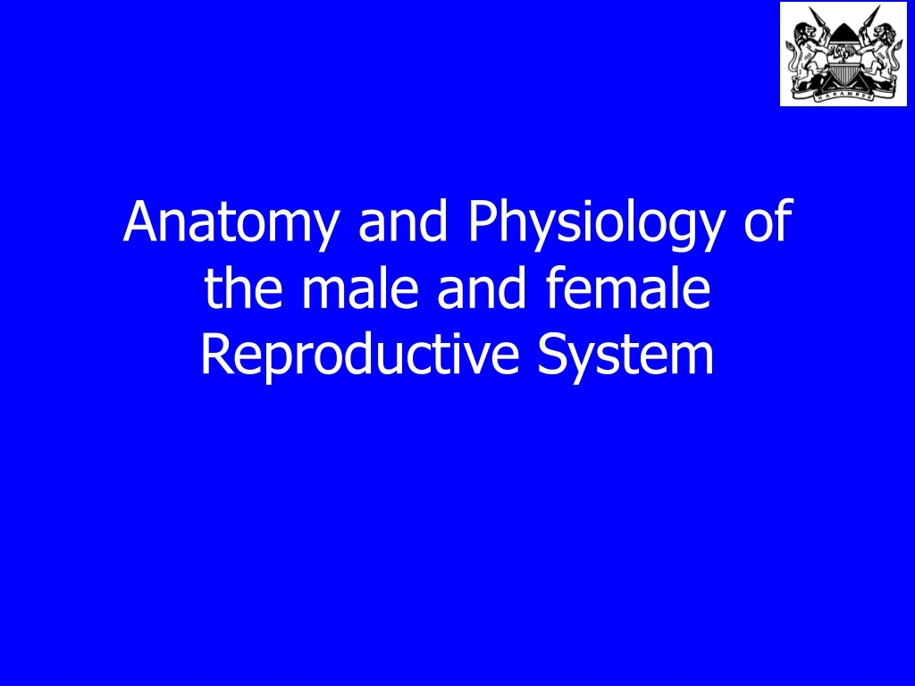 anatomy and physiology of the male and female reproductive system