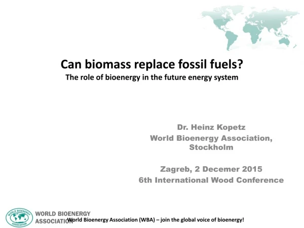 Can biomass replace fossil fuels? The role of bioenergy in the future energy system