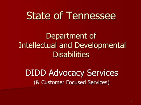 State of Tennessee Department of  Intellectual and Developmental Disabilities