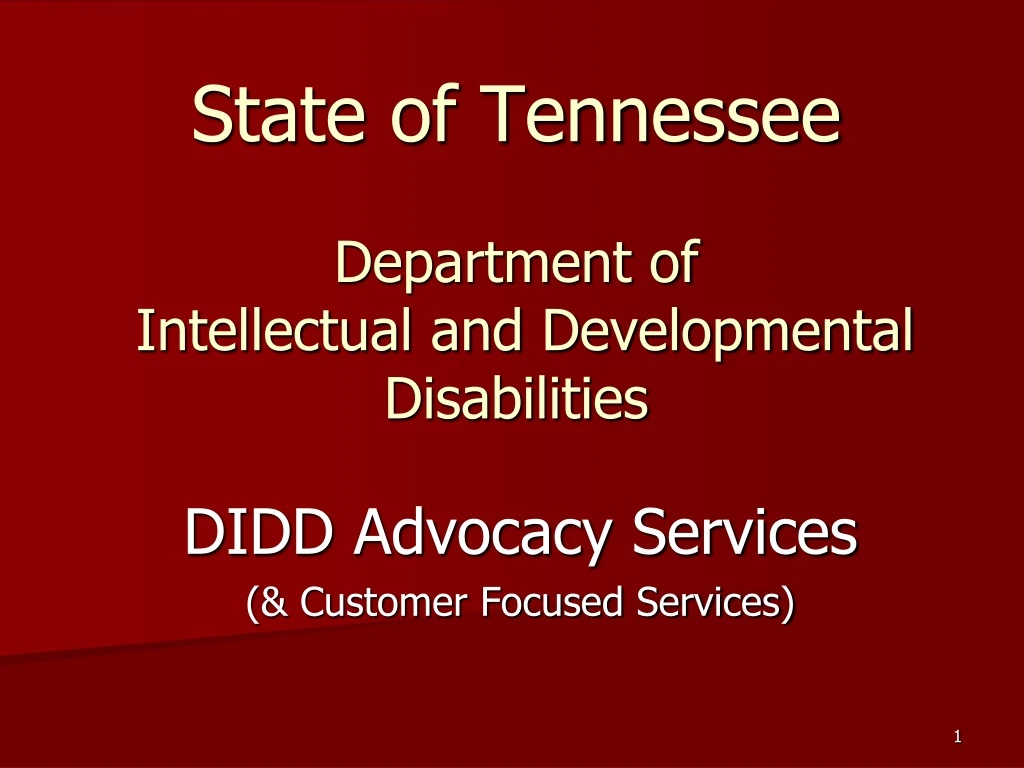 state of tennessee department of intellectual and developmental disabilities