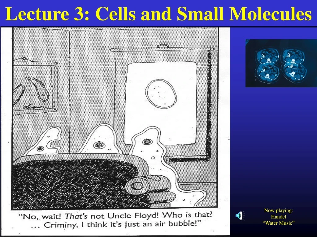 lecture 3 cells and small molecules