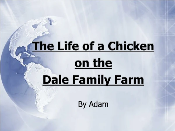 The Life of a Chicken on the  Dale Family Farm By Adam
