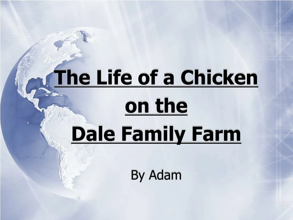 the life of a chicken on the dale family farm
